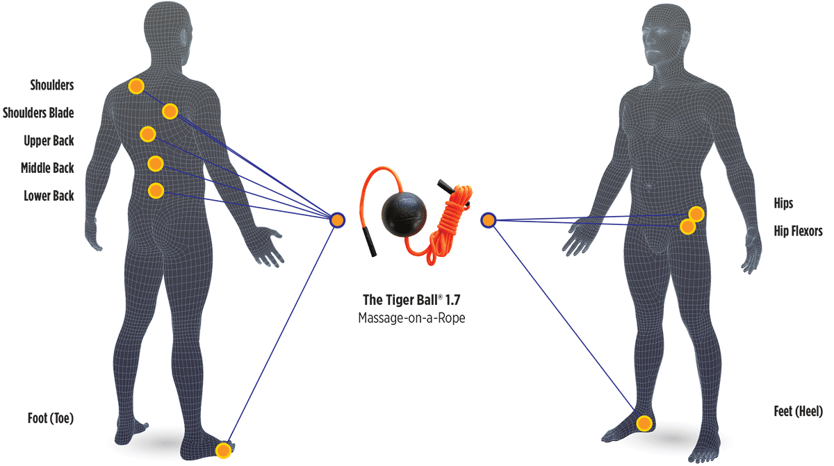BodyChart_TB17_Web
