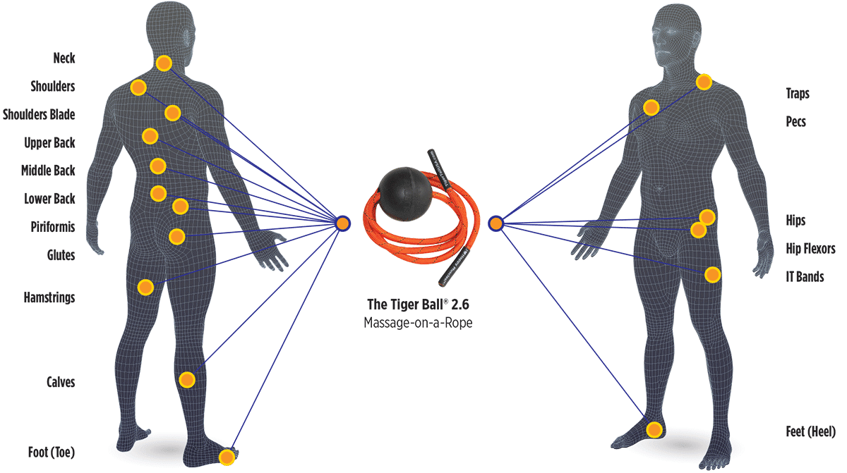 BodyChart_TB26_Web