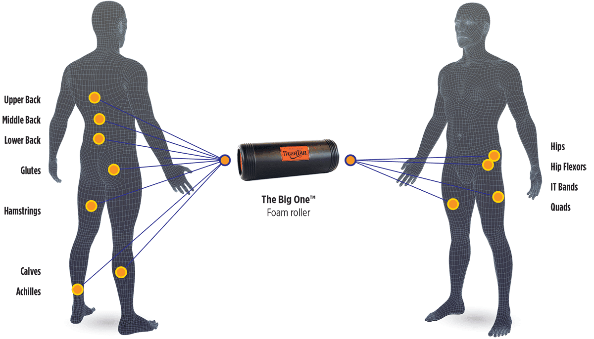 BodyChart_TBO_Web
