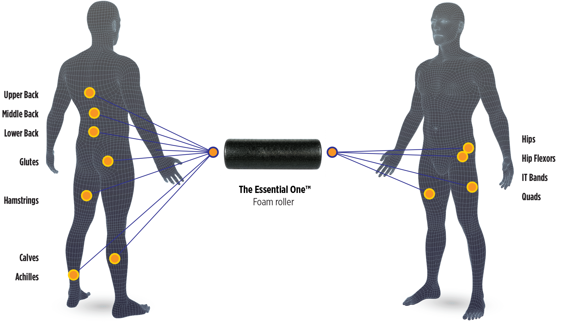 BodyChart_TBAO