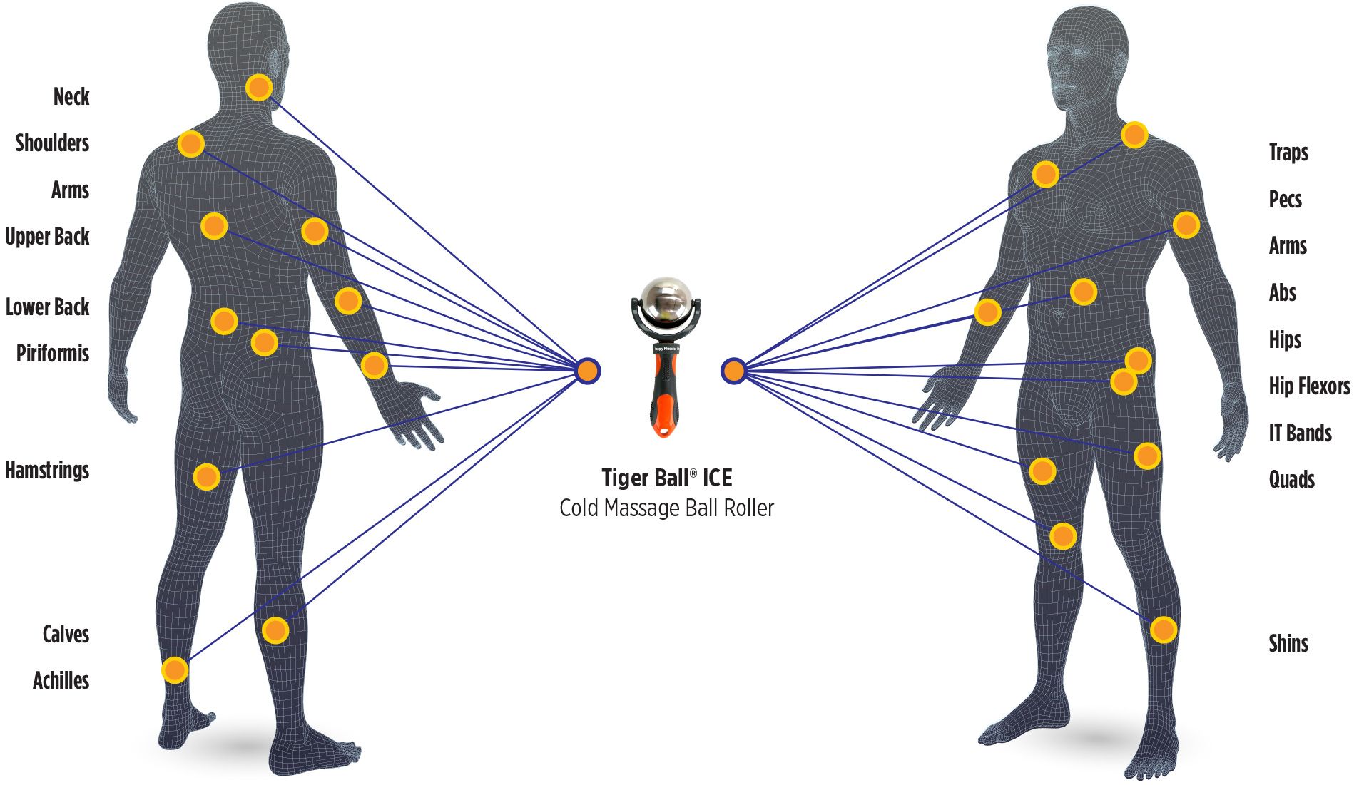 BodyChart_TBICE