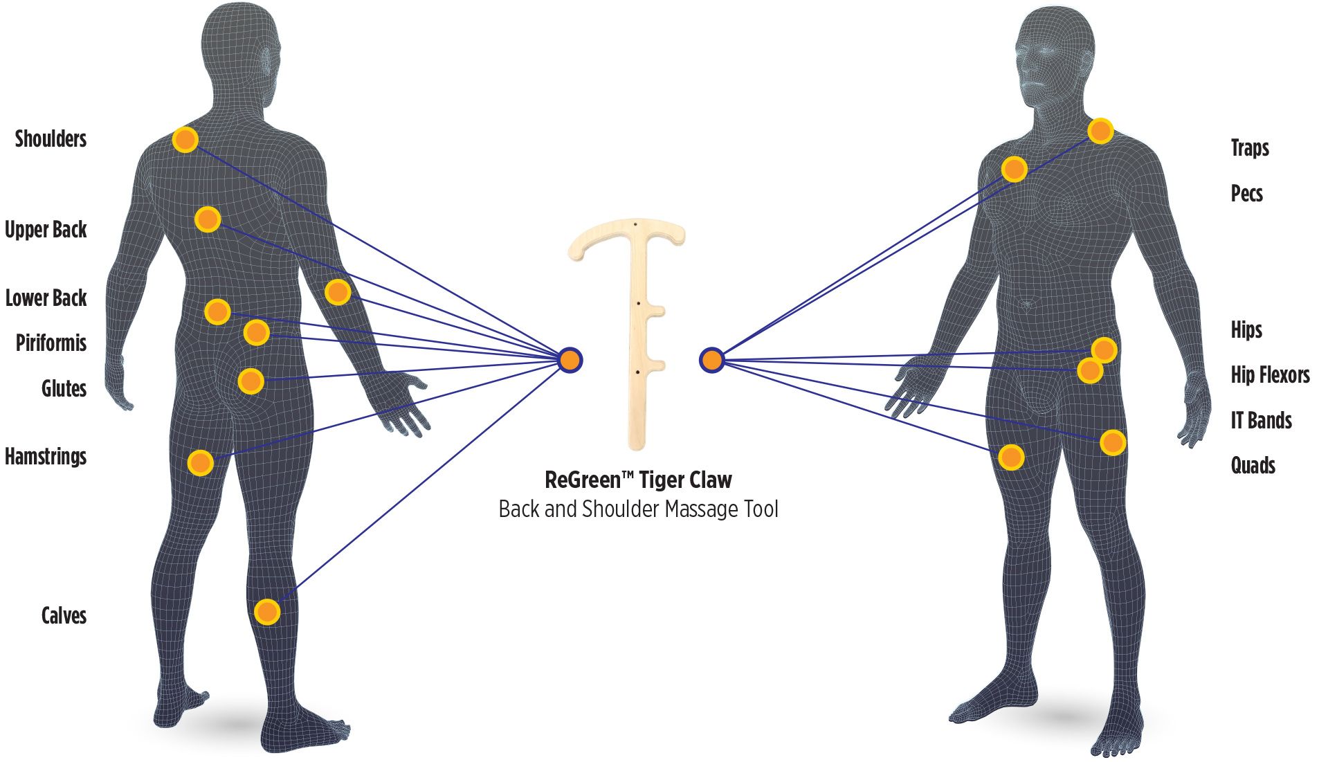 BodyChart_TigerClaw