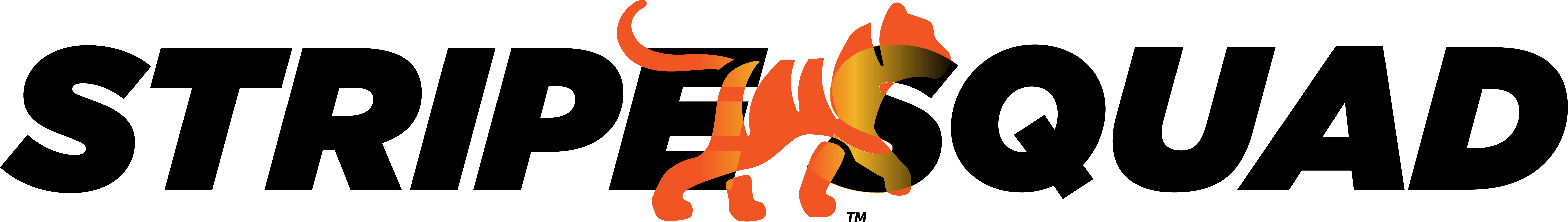 StripeSquad_Color_Logo