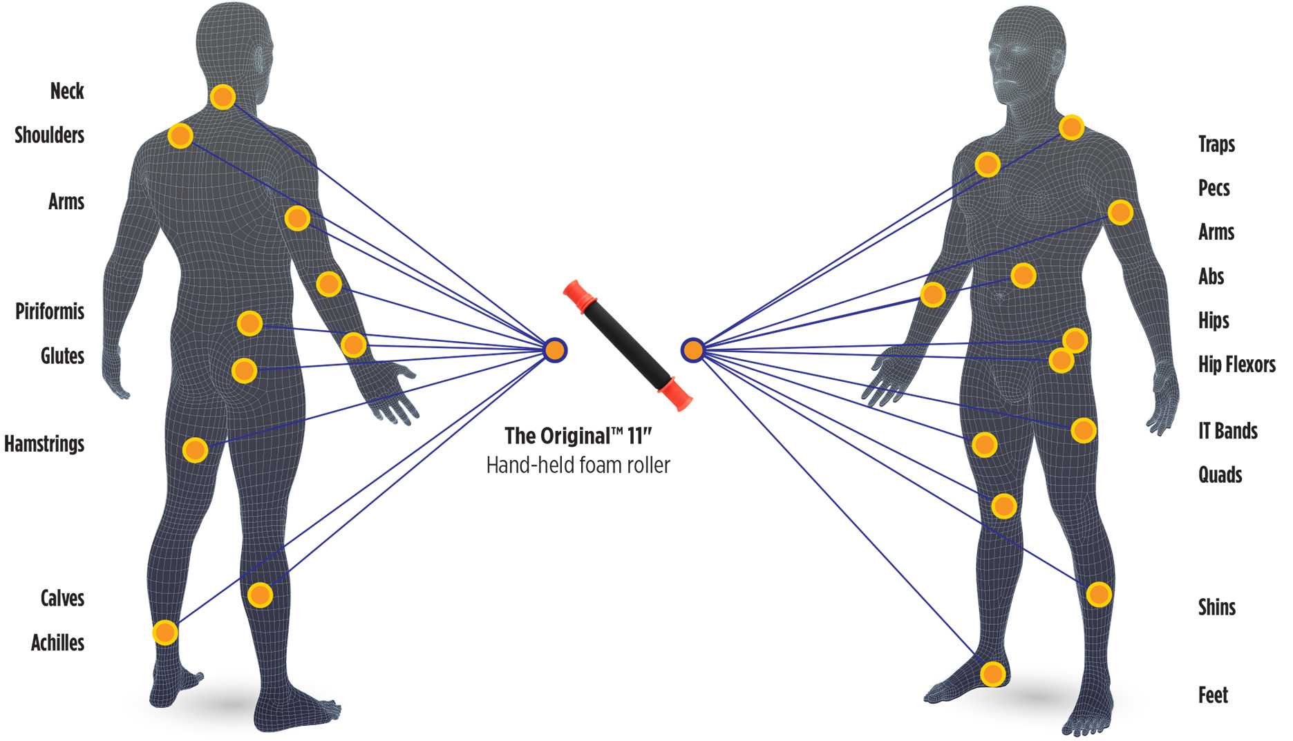 BodyChart_TT_Original_11 BodyChart_TT_Original_11
