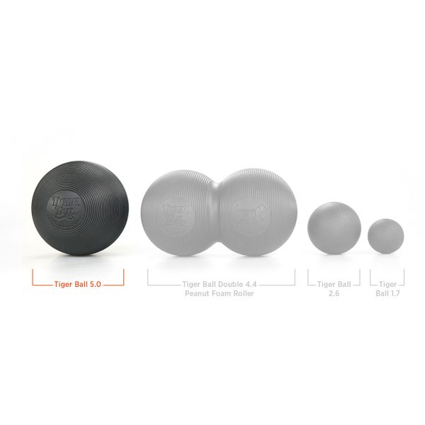 Tiger Ball 5.0 Size Comparison