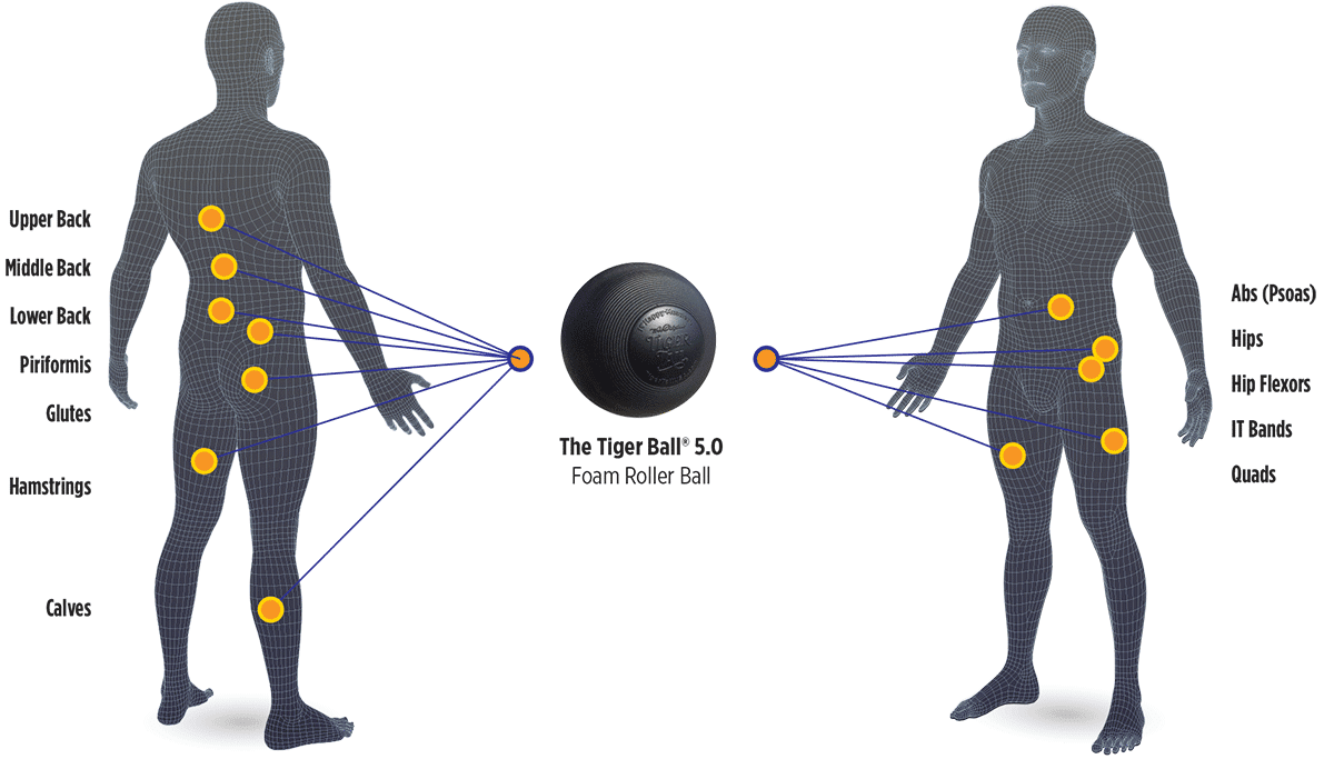 BodyChart_TB50_Web Tiger Ball 5.0 Foam Roller Ball Body Map Application