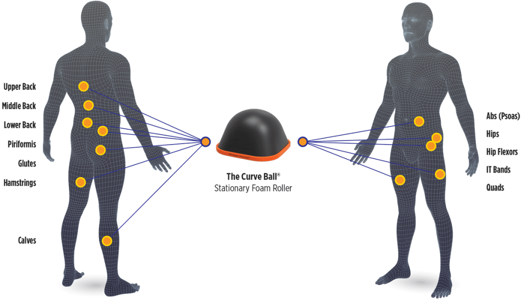 The Curve Ball Stationary Foam Roller Body Map Application