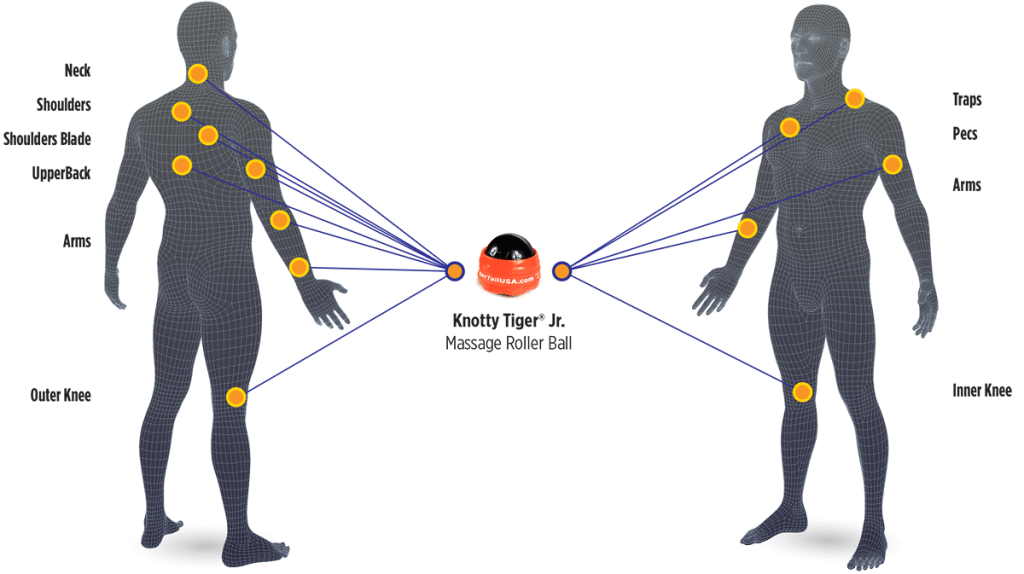 The Knotty Tiger Jr Handheld Massage Roller Ball Body Map Application