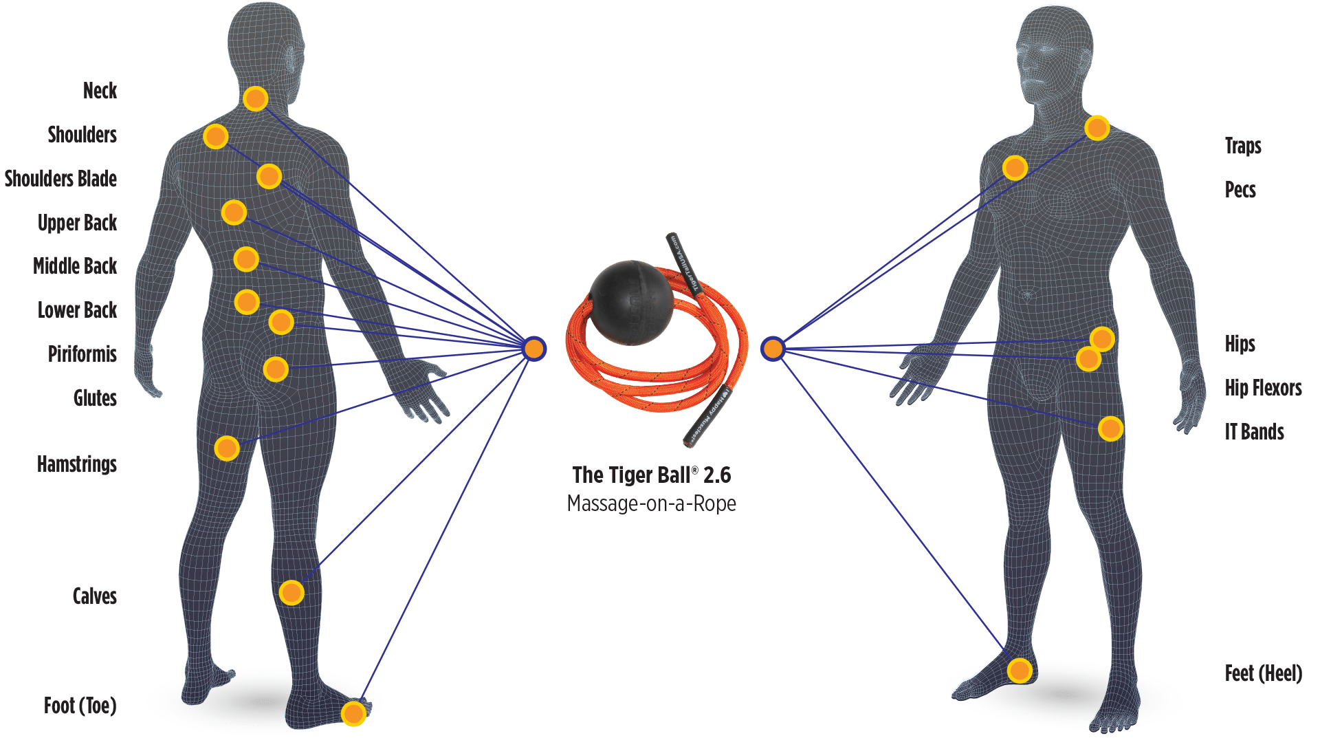 BodyChart_TB26 Tiger Ball 2.6 Massage-on-a-rope Body Map Application