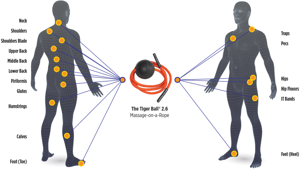Tiger Ball 2.6 Massage-on-a-rope Body Map Application