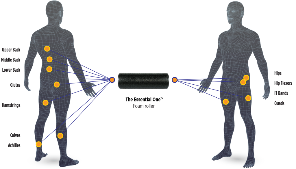The Essential One 18" Foam Roller Body Map Application