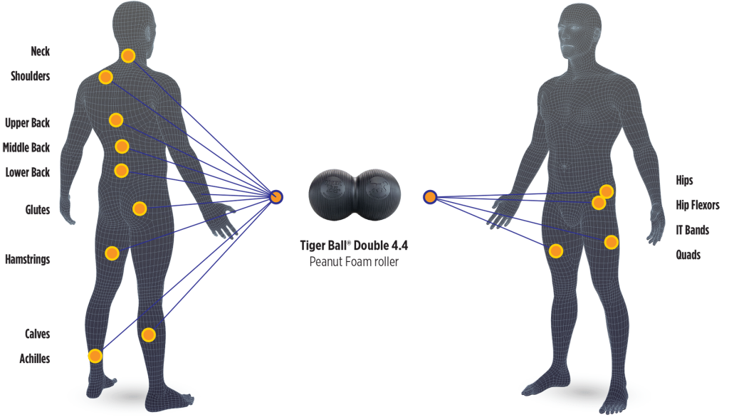 Tiger Ball 4.4 Peanut Foam Roller Body Map Application