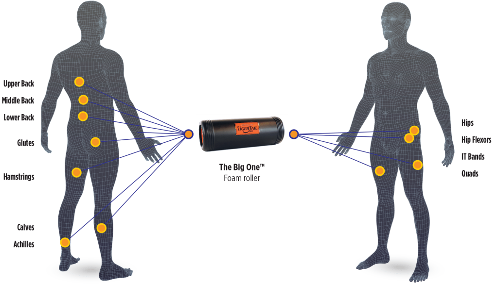 The Big One Ultimate Foam Roller Body Map Application