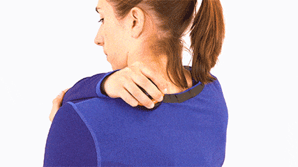 KnottyTiger_Back-1-1 KnottyTiger_Back-1-1