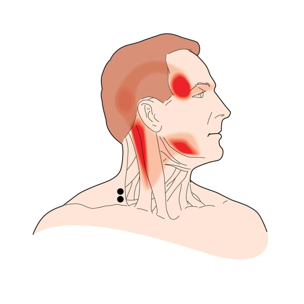 MuscleEducation_img_HSMK_Hero