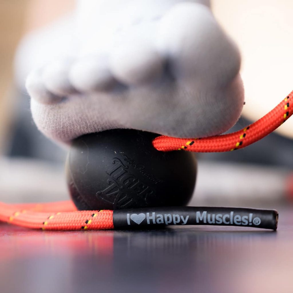 Tiger Ball 2.6 Massage on a rope Ball Foot Massage