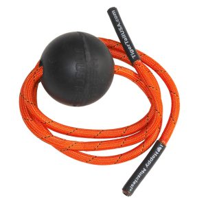TigerBall-Web