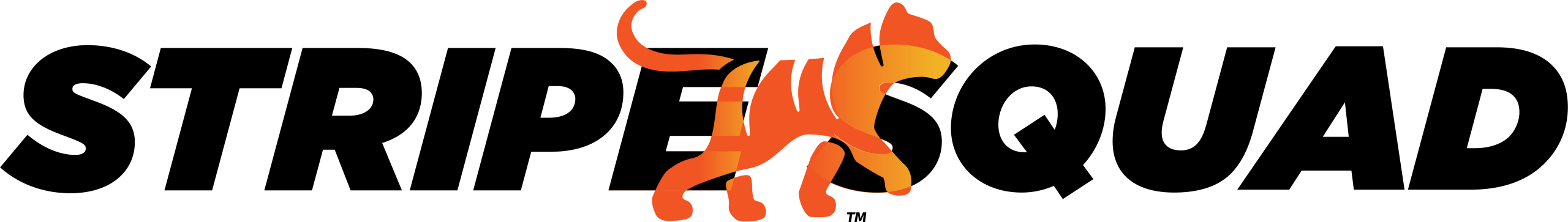 stripesquad color logo scaled