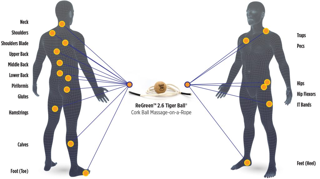ReGreen Tiger Ball 2.6 Massage on a rope Cork Ball Body Map Application