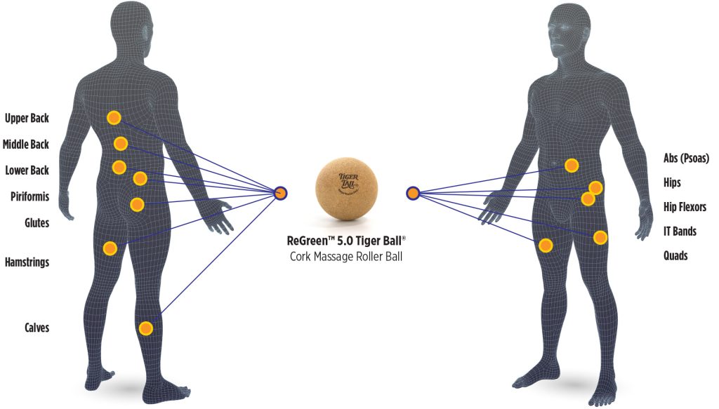 ReGreen Tiger Ball 5.0 Cork Roller Ball Body Map Application