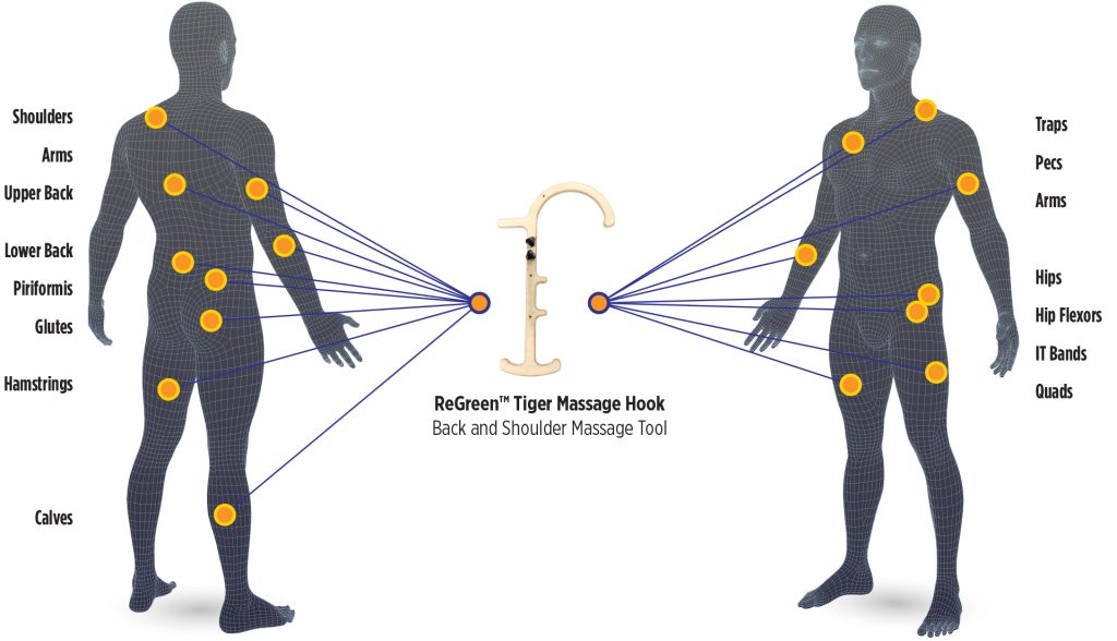 ReGreen Wood Massage Hook Body Map Application