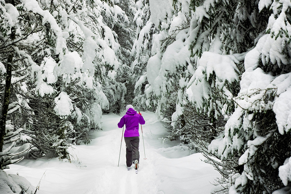 Woman Cross Country Skiing in the Forest