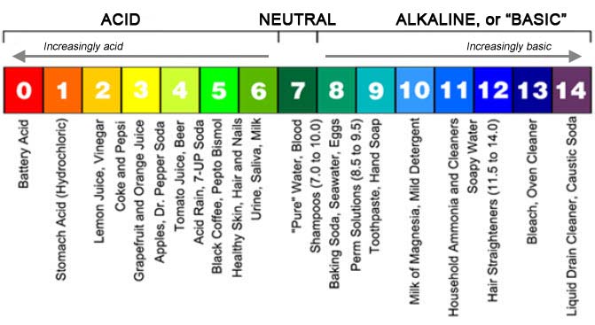 Graphic showing the range of pH levbels, from 0 (most acid) on the far left to 14 (most basic) on the far right. Graphic also shows the pH level of a variety of common substances such as battery acid, water, or shampoo.