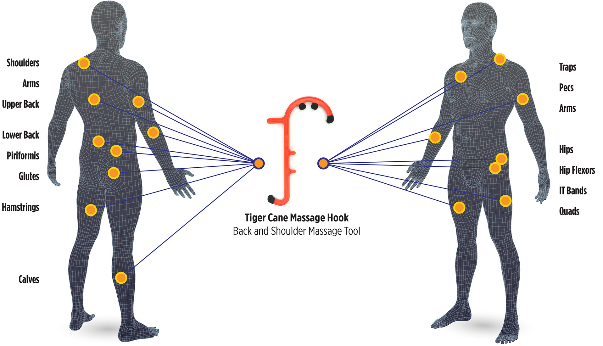 Tiger Cane Massage Hook Body Chart