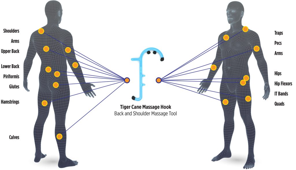 Tiger Cane Massage Hook Body Chart