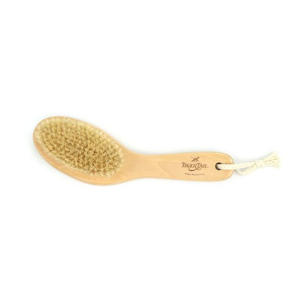 Therapeutic Dry Brush