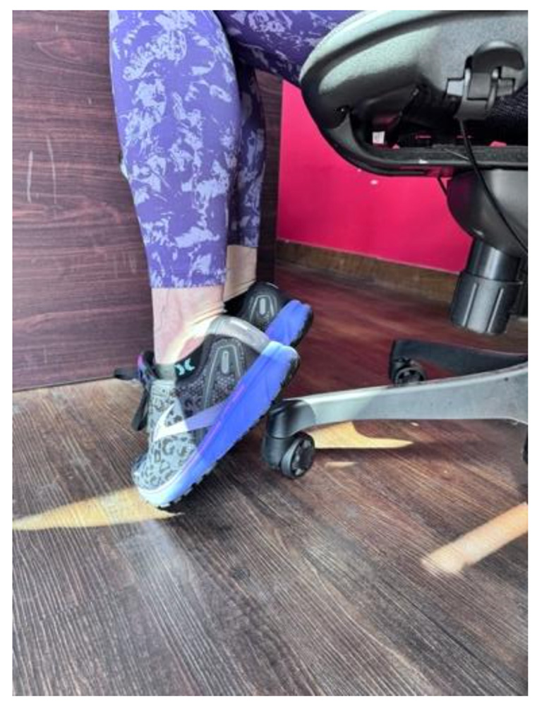 If the chair is not the proper height and the feet are unable to touch the floor, we end up putting the heel on the base of the chair and only the toes on the floor. This leads to shortened calf muscles and the potential formation of trigger points in the soleus, gastrocnemius, and tibialis posterior.