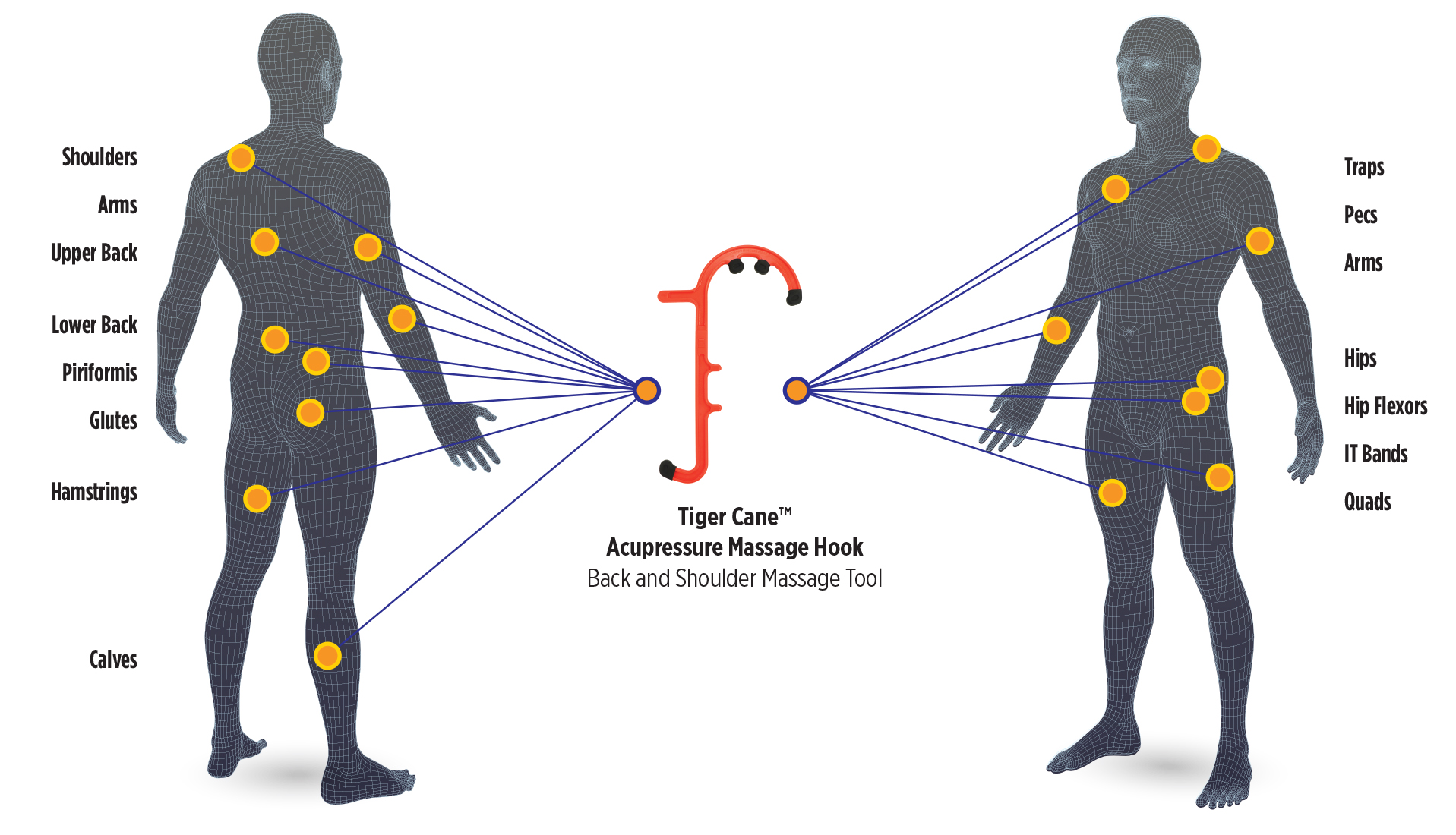Tiger Cane Acupressure Massage Hook Body Chart