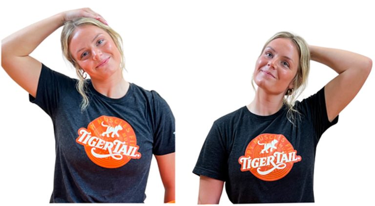 Neck Stretches while sitting at your desk