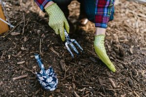 The Gardener's Self-Care Toolkit
