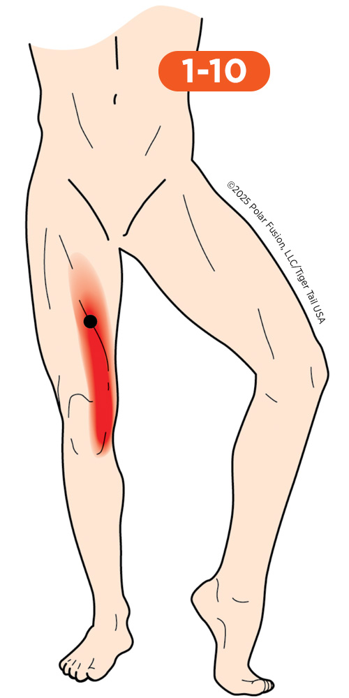 Knee_Front_1-10_VastusMedialisOblique_500px Front of Knee Pain 1-10 Vastus Medialis Oblique