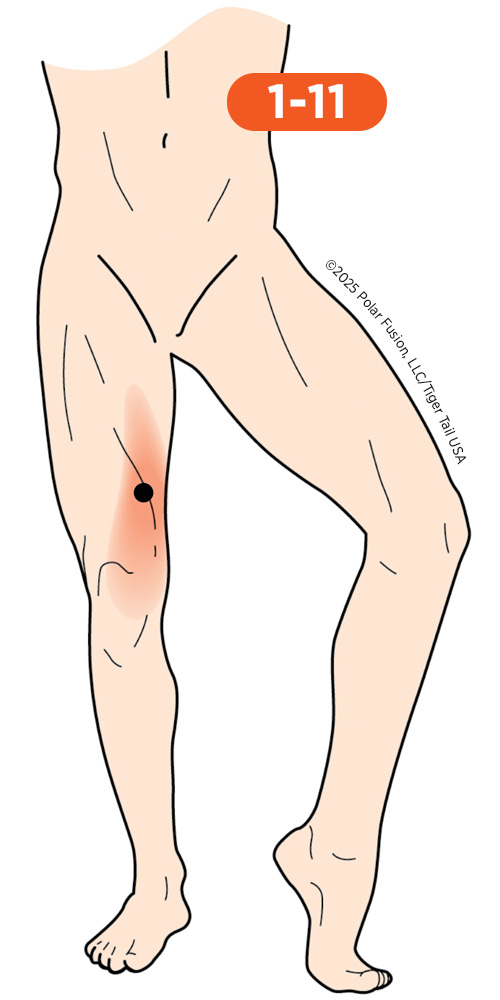 Knee_Front_1-11_Sartorius_500px Front of Knee Pain 1-11 Sartorius