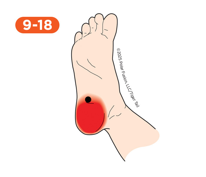 Foot and Toe Pain 9-18 Quadratus Plantae