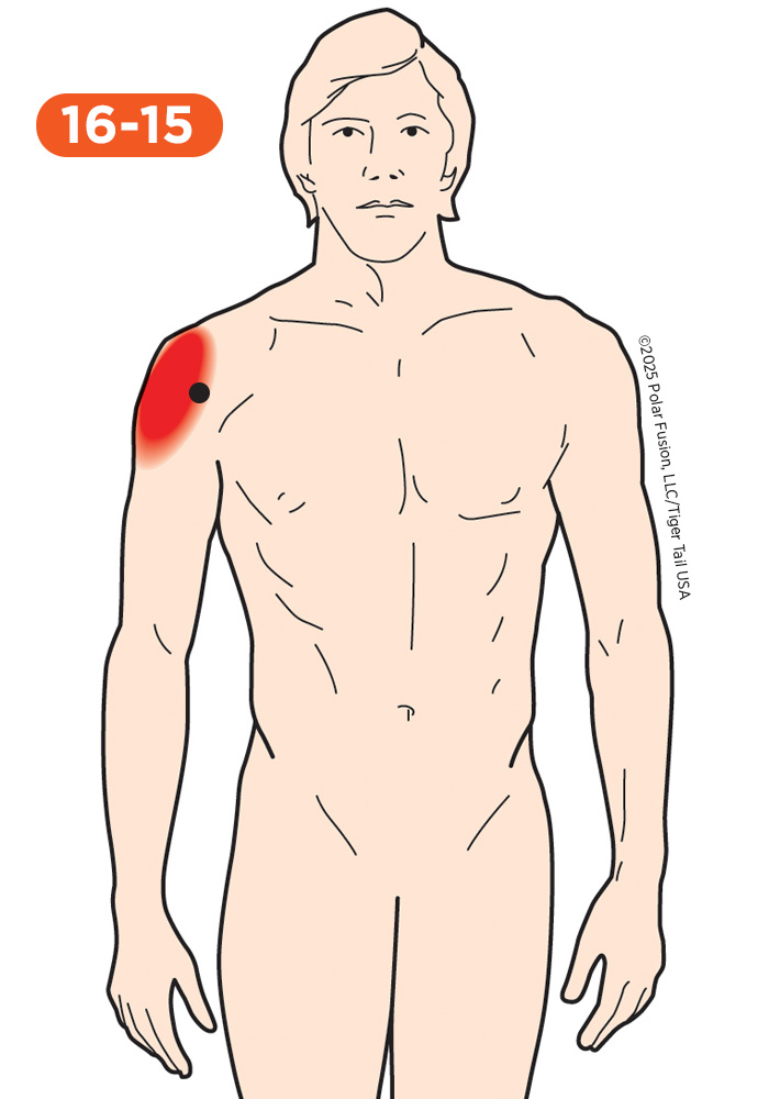 Shoulder Pain 16-15 Coracobrachialis