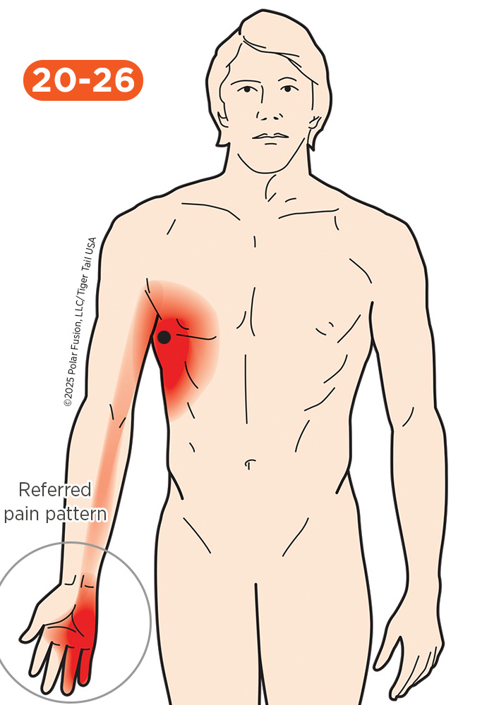 Hand Finger Thumb Pain 20-26 Serratus Anterior
