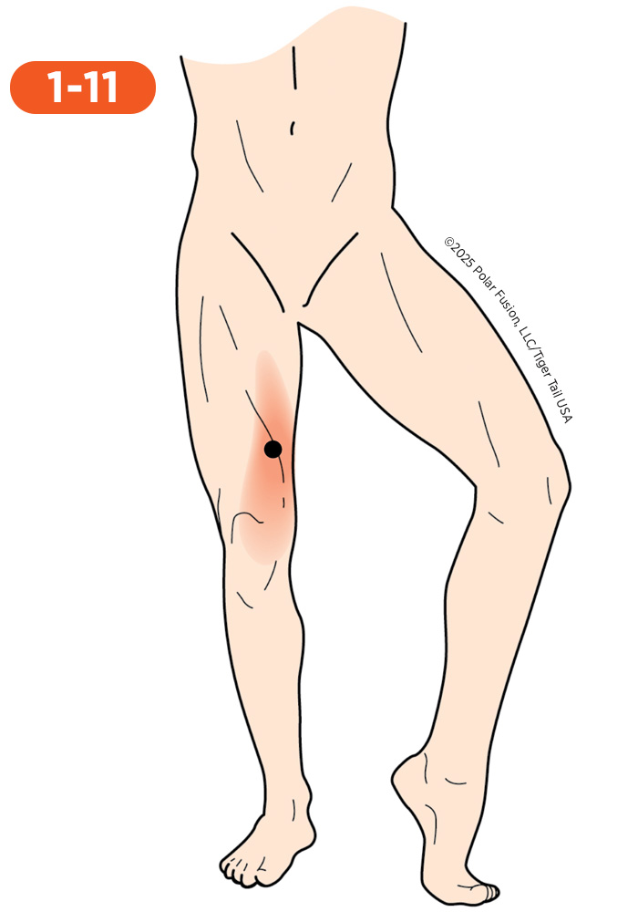 Knee Pain 1-11 Sartorius