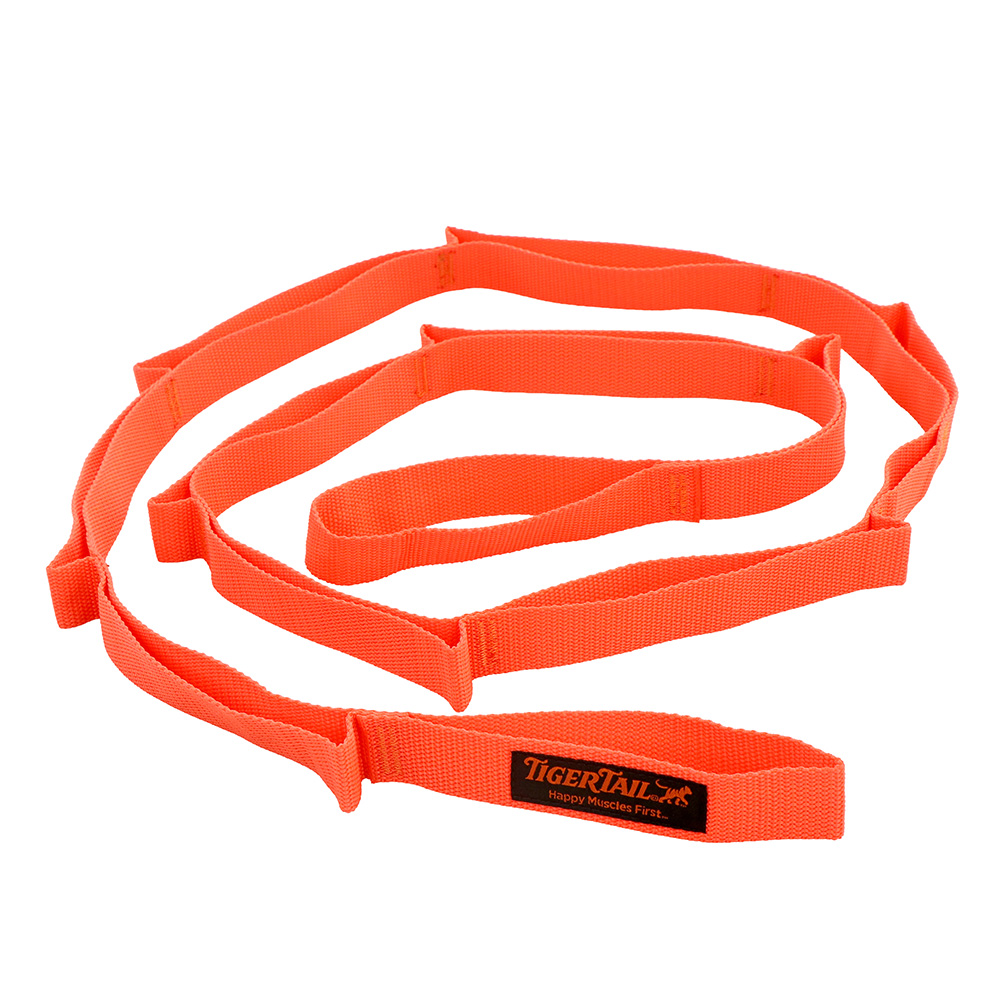 PT Stretch Strap